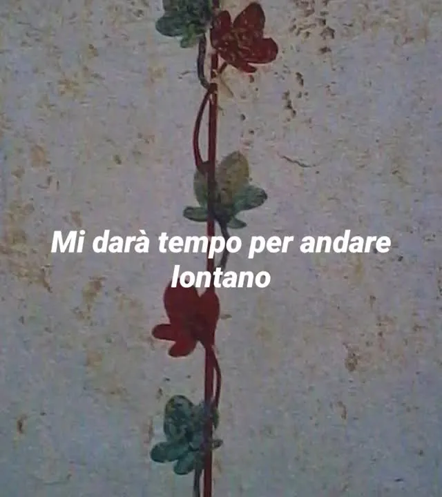 pina_paesano - Instagram Photo: 8