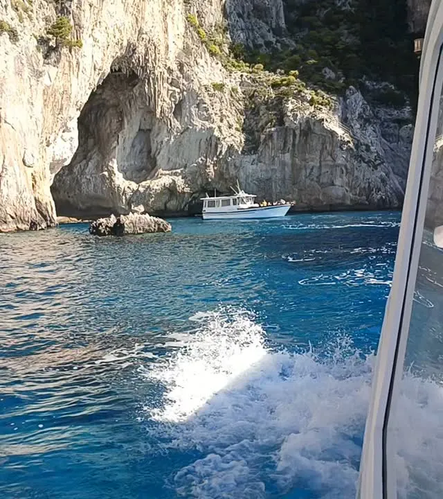 pina_paesano - Instagram Photo: 3